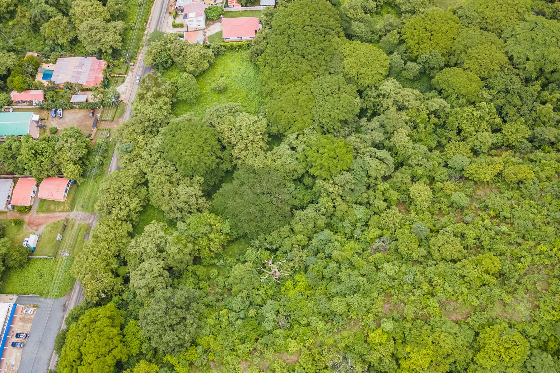 Prime Commercial Land with 121 Meters of Main Road Frontage
