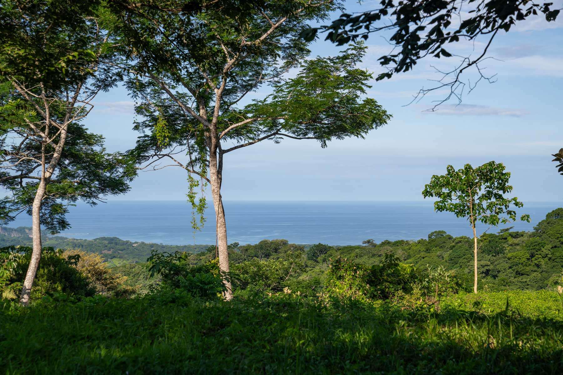 1.67-Acre Lot with Ocean Views and Dual Building Sites