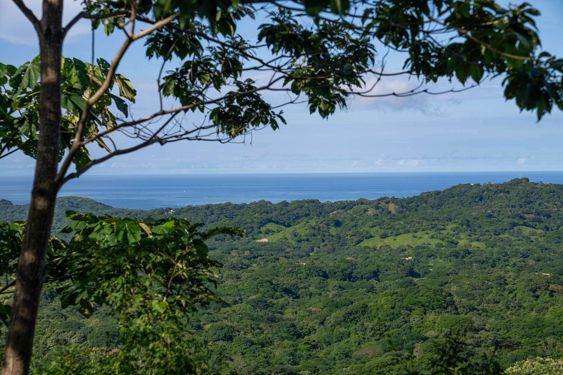 Ocean-View Platforms + Private Reserve