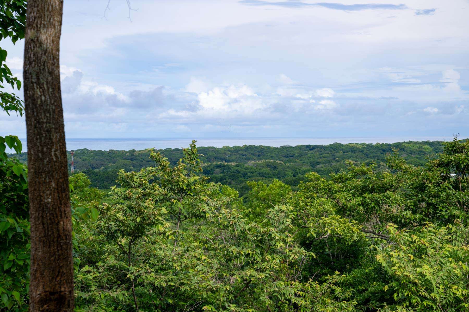 104.7 Hectares of Development Potential in Marbella