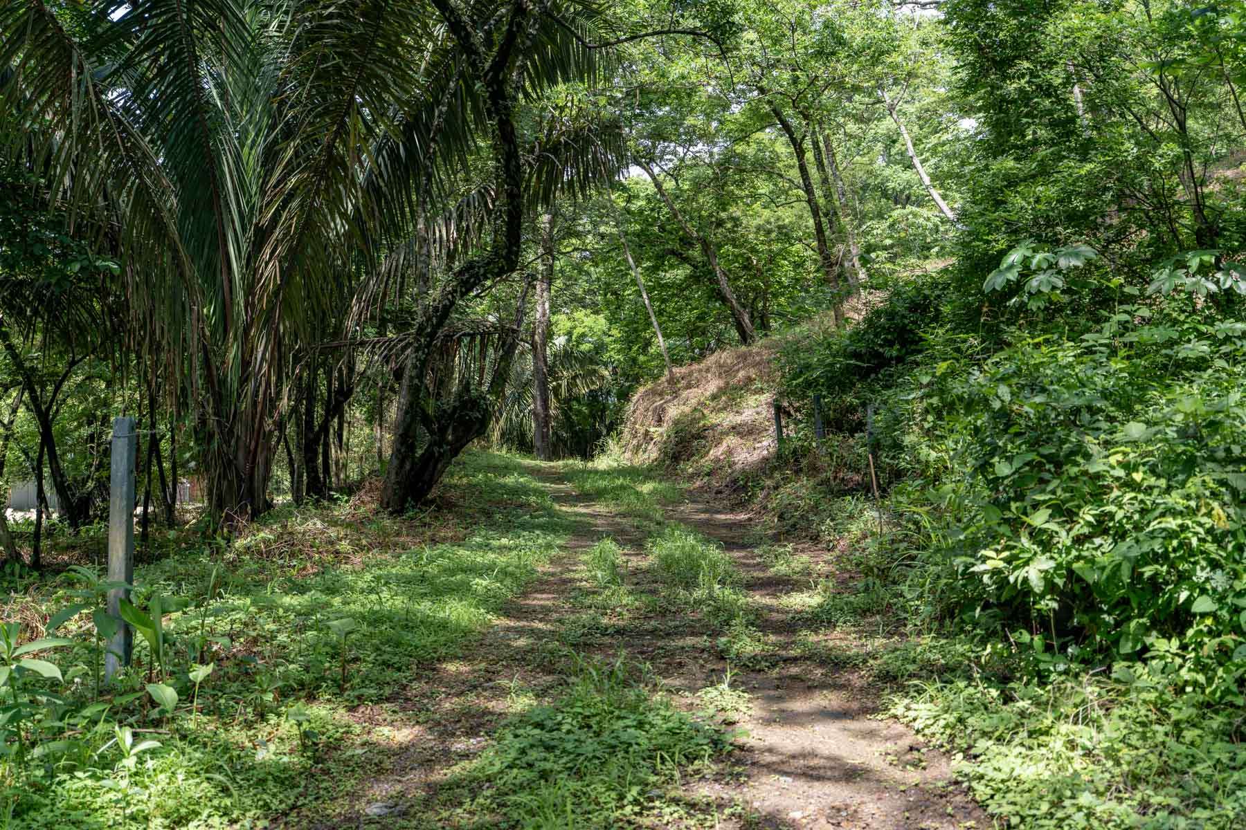 Playa Pelada Large Property
