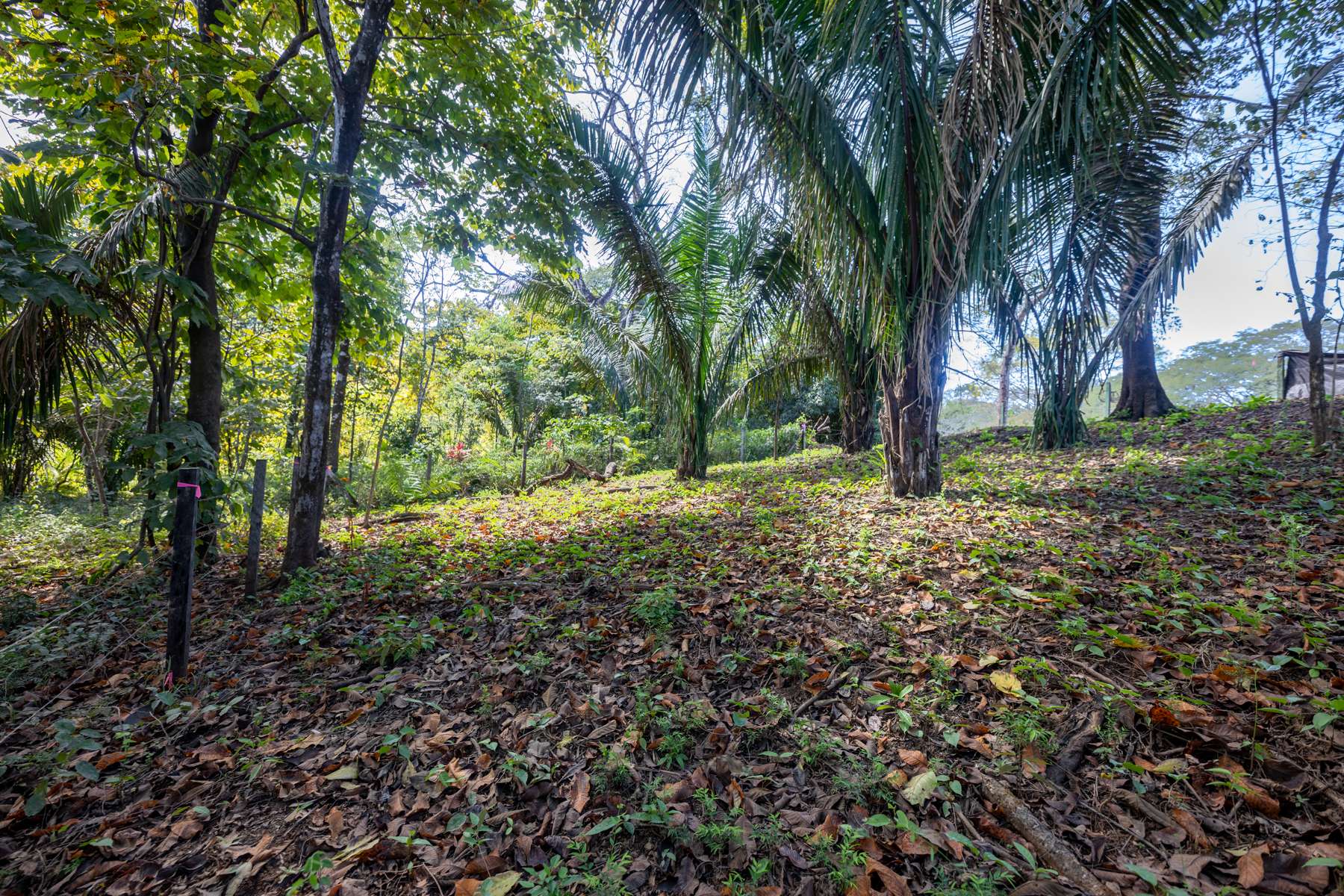 Don’t Miss Your Chance! Playa Pelada $150,000