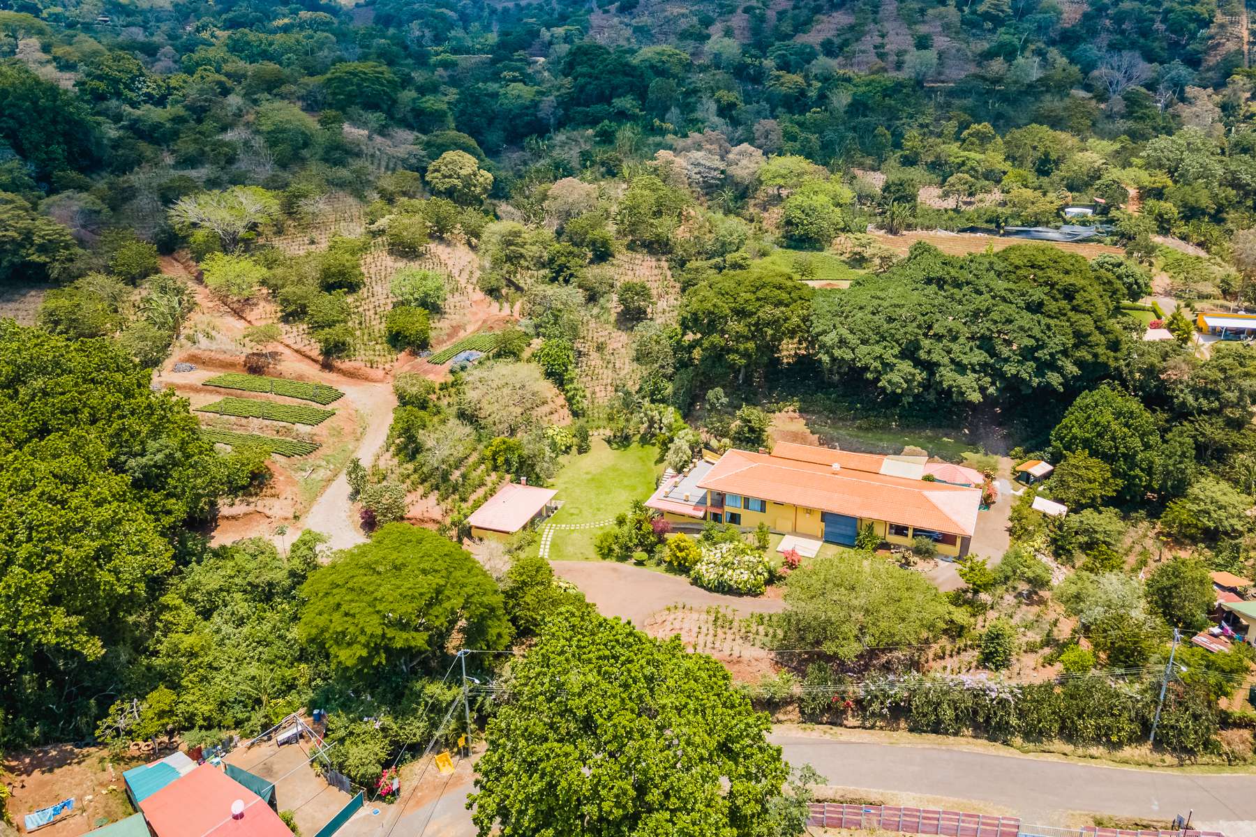 Beautiful Coffee Farm in Naranjo