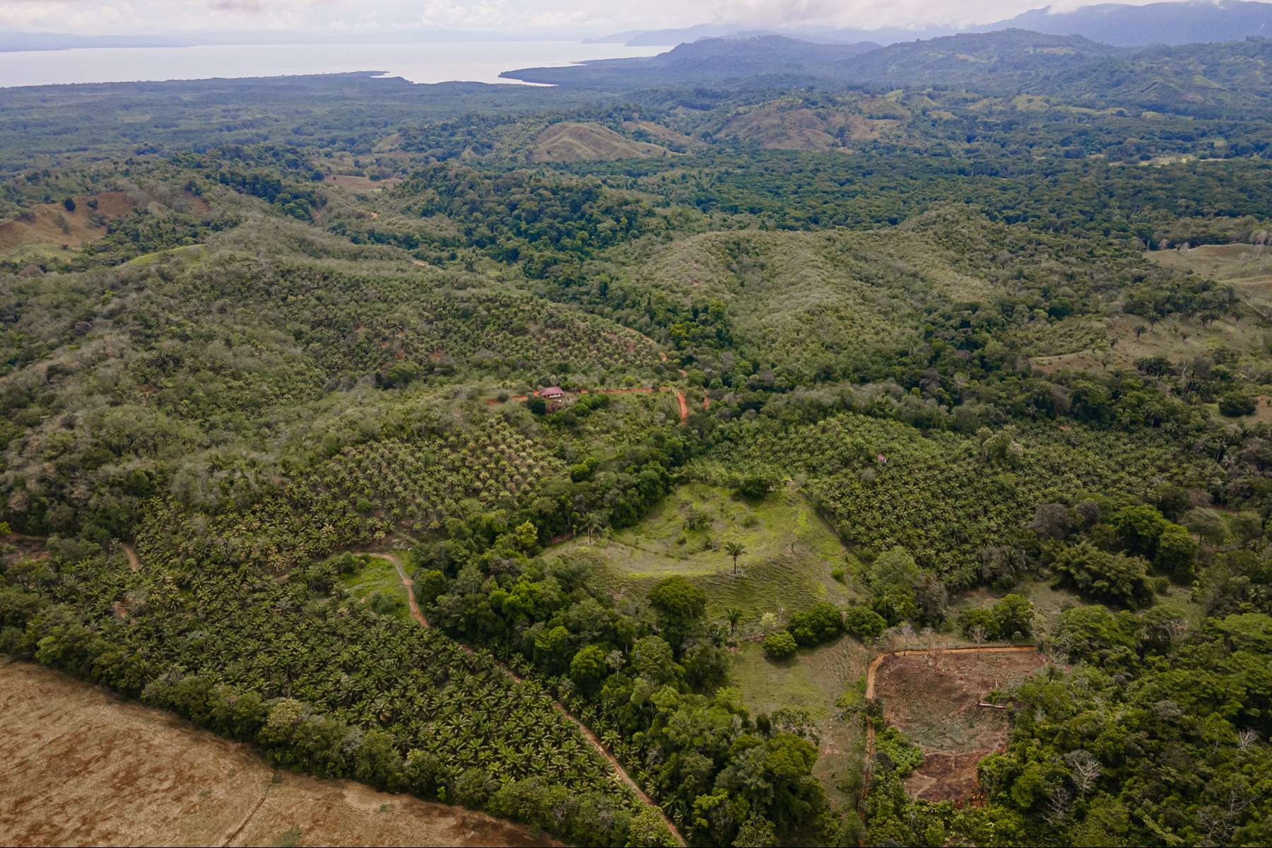 Ocean and River Views in Pristine South Costa Rica