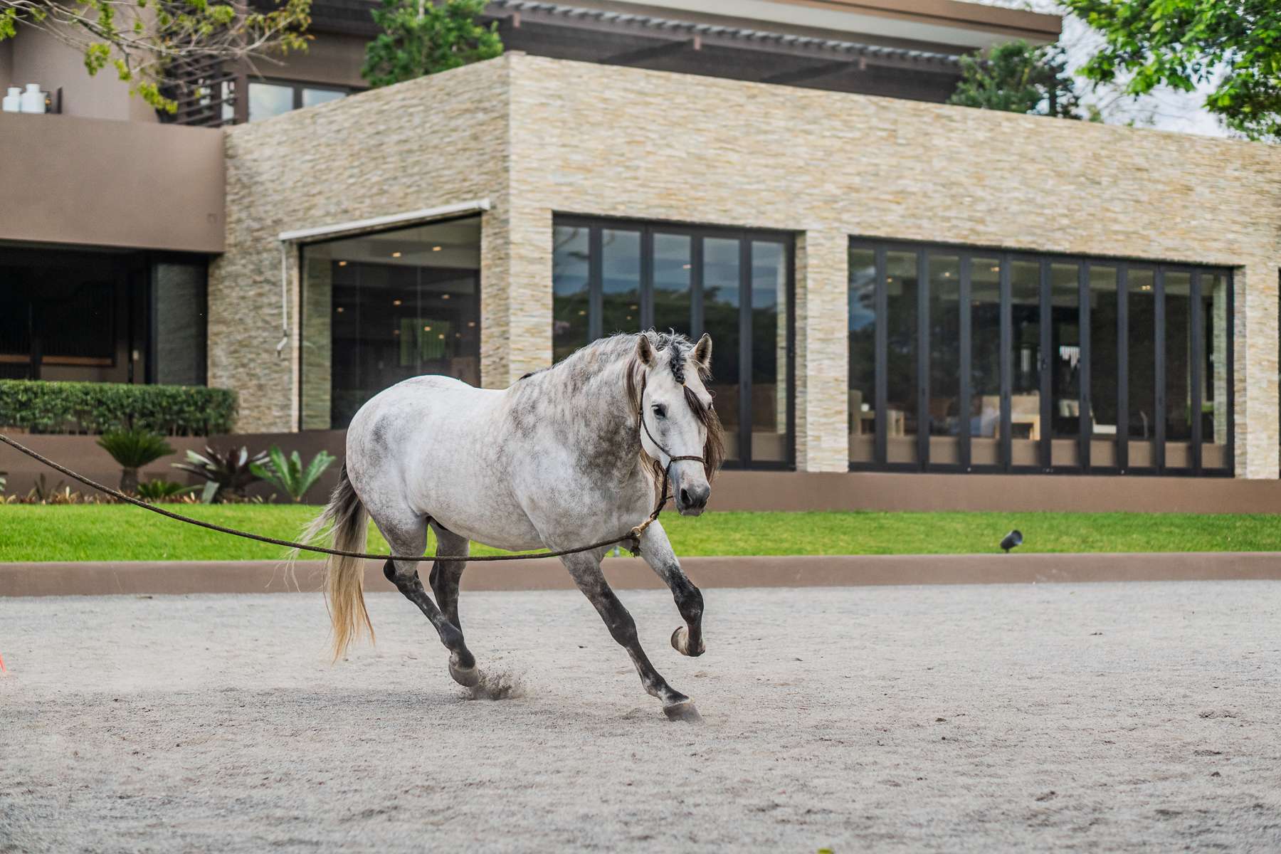 El Encanto Equestrian Estate