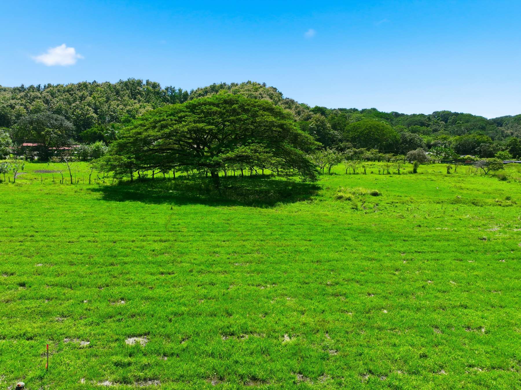 Finca Cacao