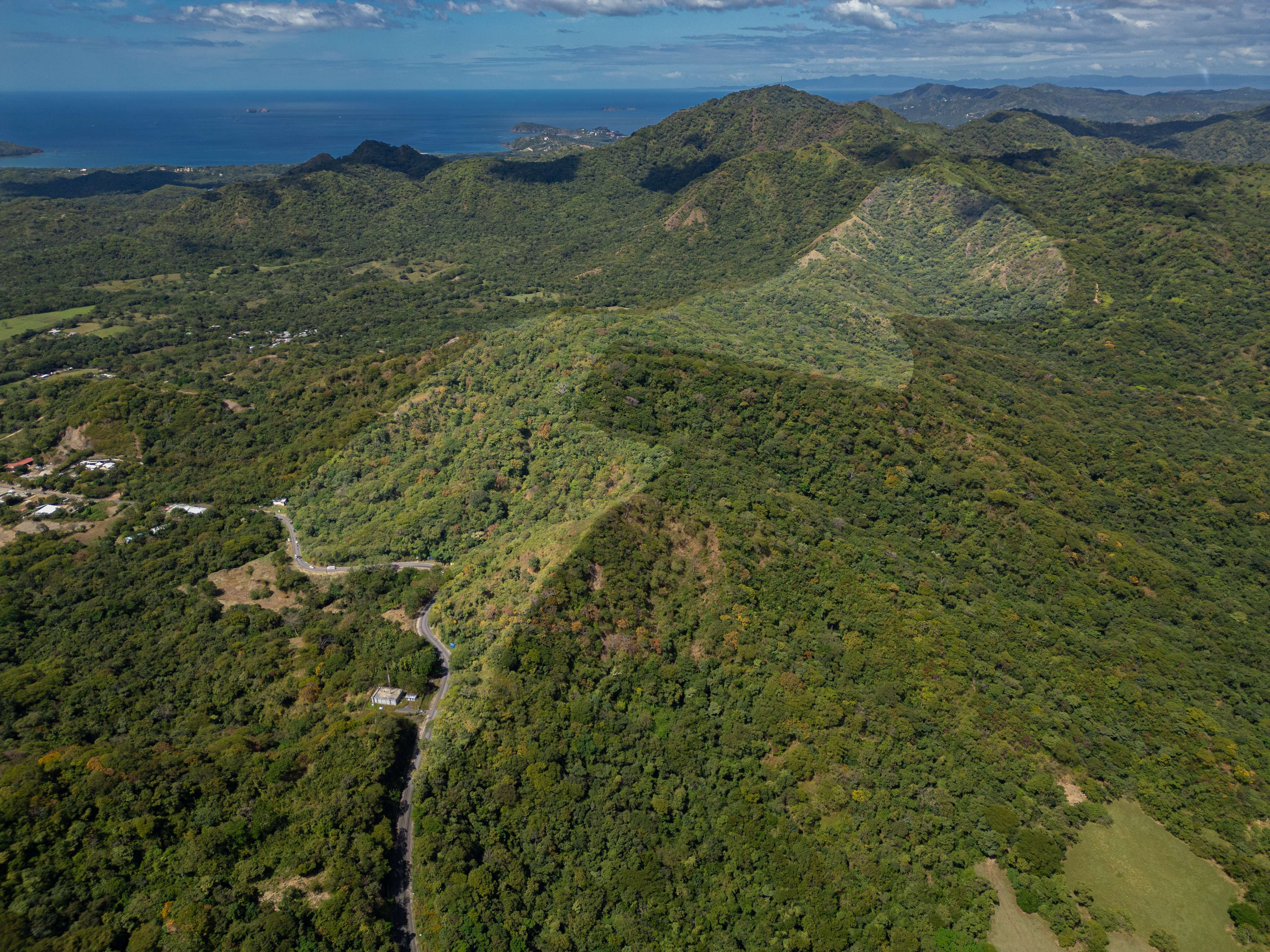 Finca Dorada