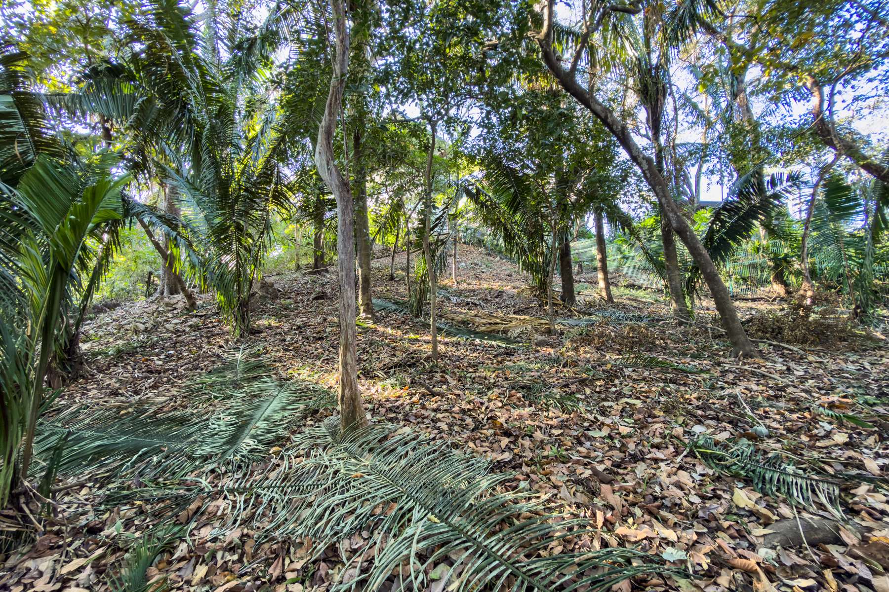 K 23 D Private Wooded Lot