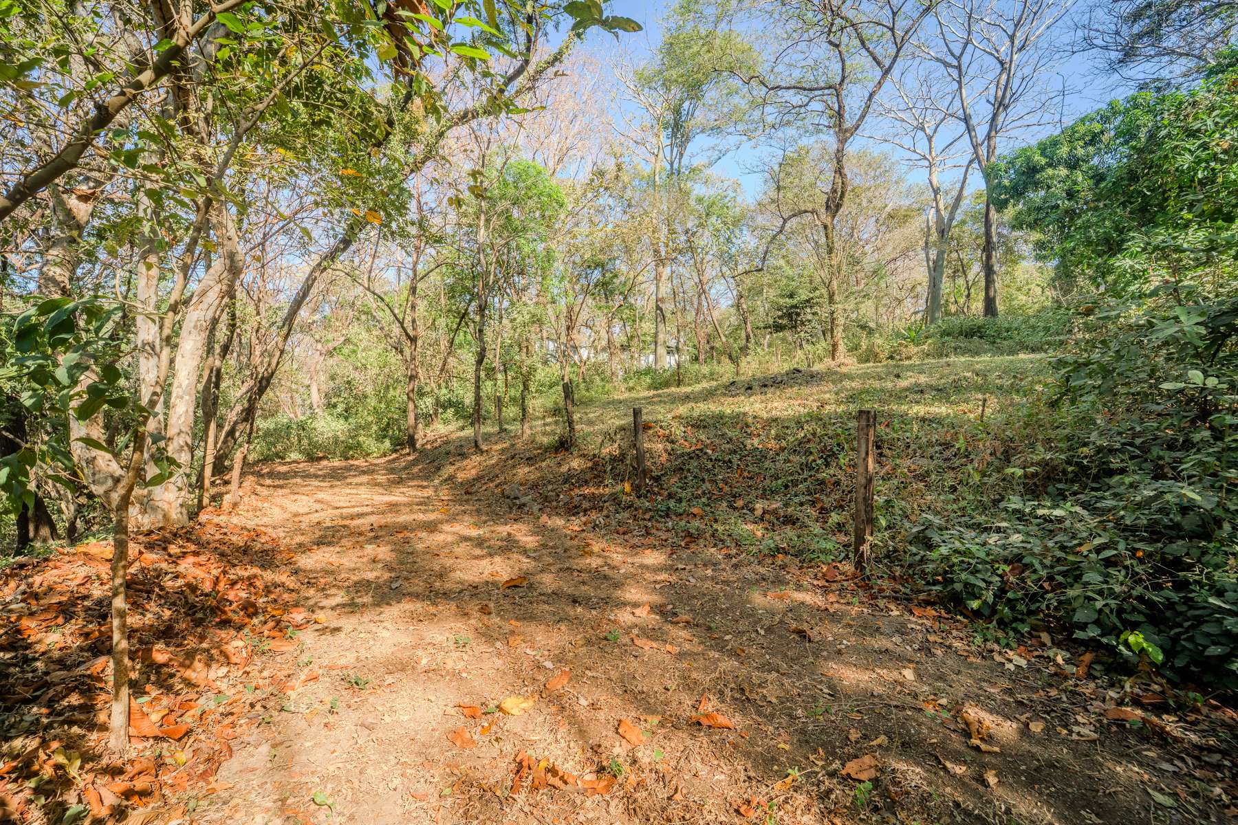 Private Cul-de-Sac Lot in Playa Pelada - Walk to Beach