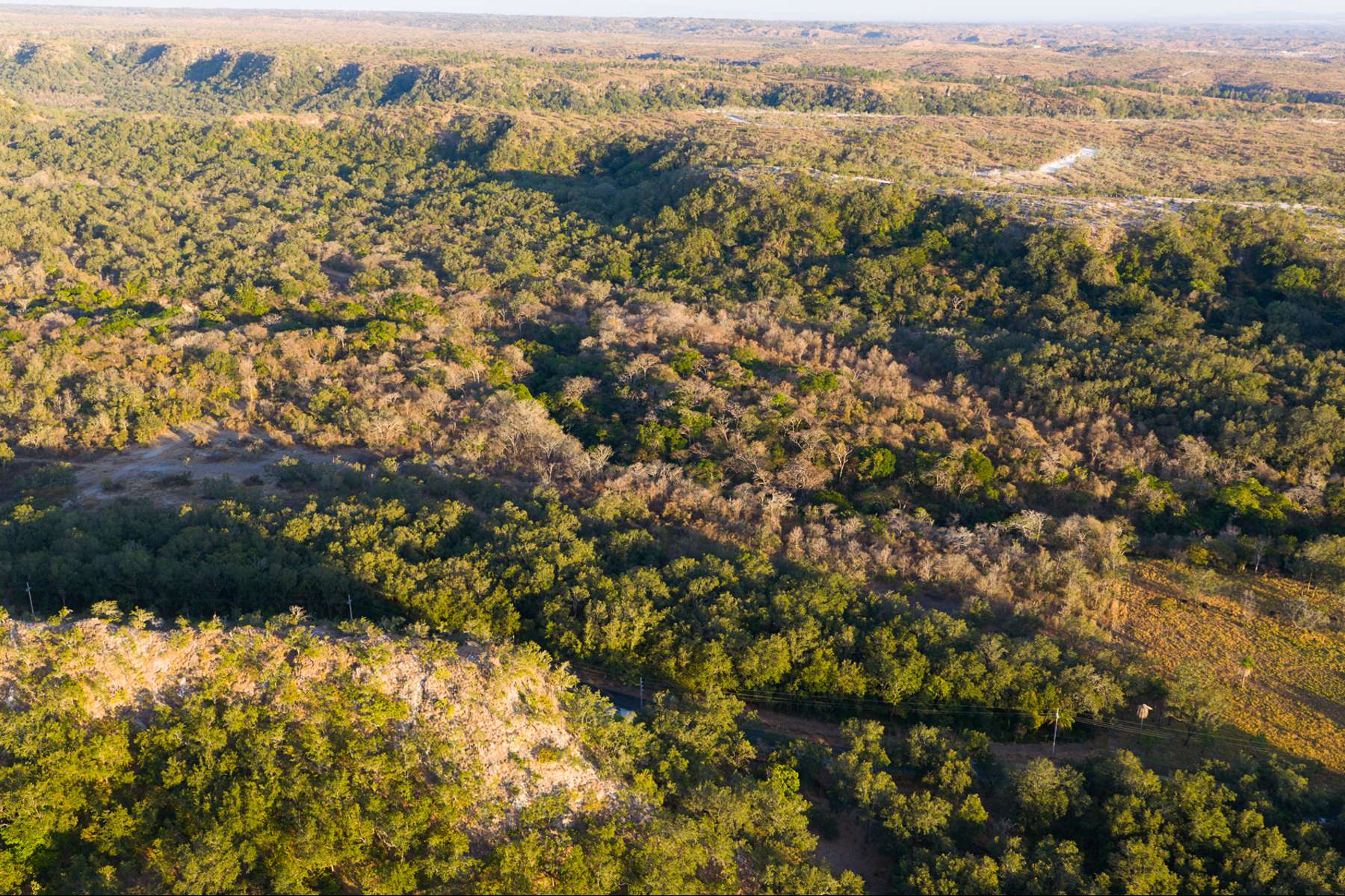 Curubande River Forest Treasure