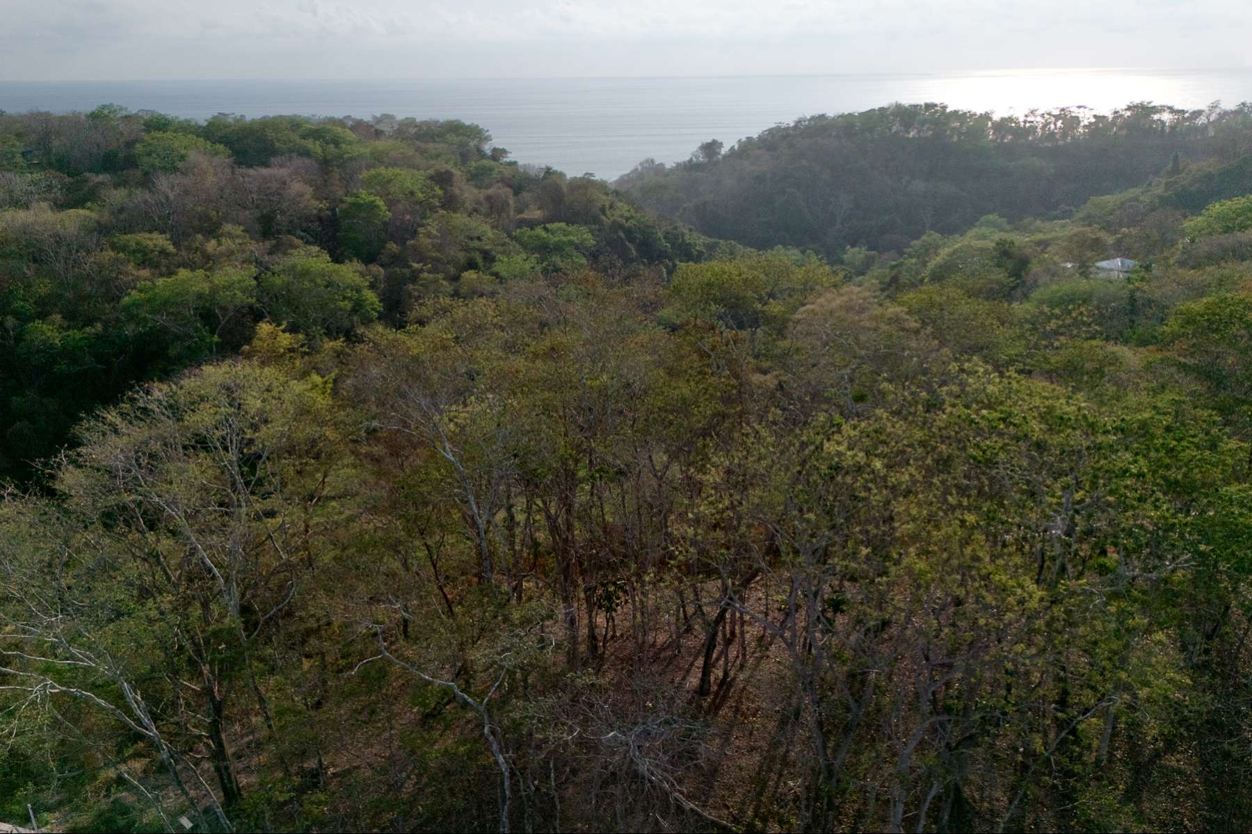Expansive Ocean View Lot in the Hills of Hermosa