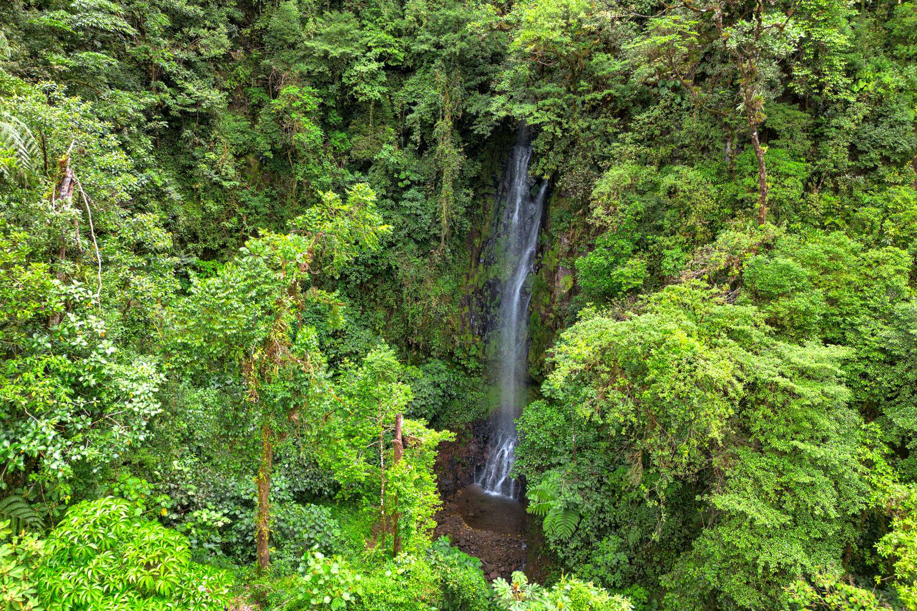 Centro Científico para la Conservación Bosque de Paz
